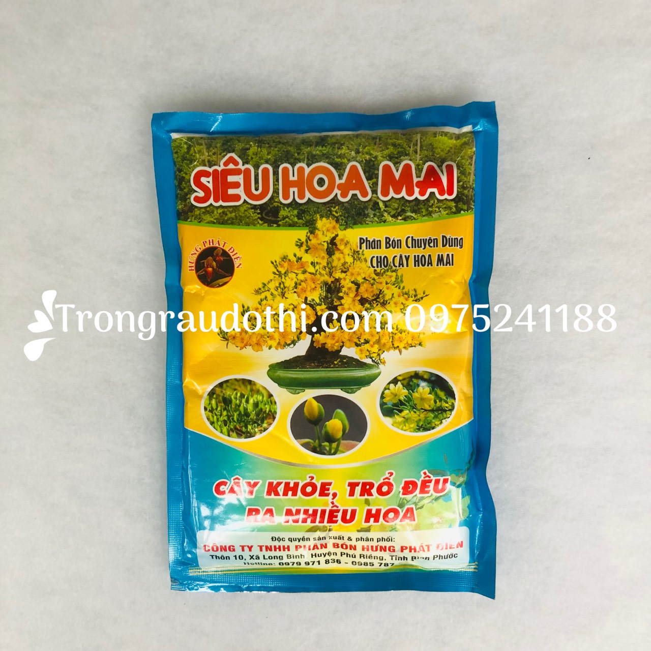 Phân bón cho hoa mai, giúp mai vàng đâm chồi mới, ra hoa to